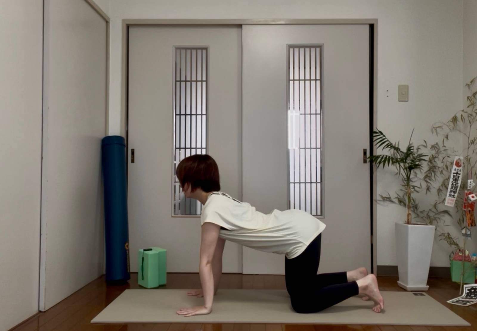 キャットアンドカウ