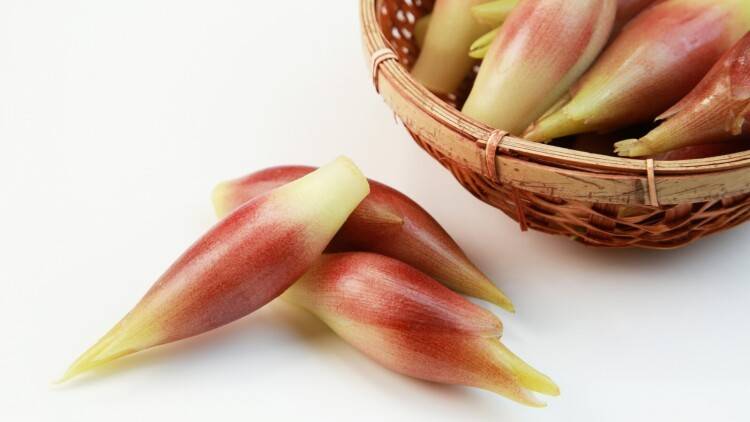 【旬のミョウガ】冷蔵と冷凍、保存の仕方で何が変わる？香りを保つ長期保存のコツを栄養士が解説