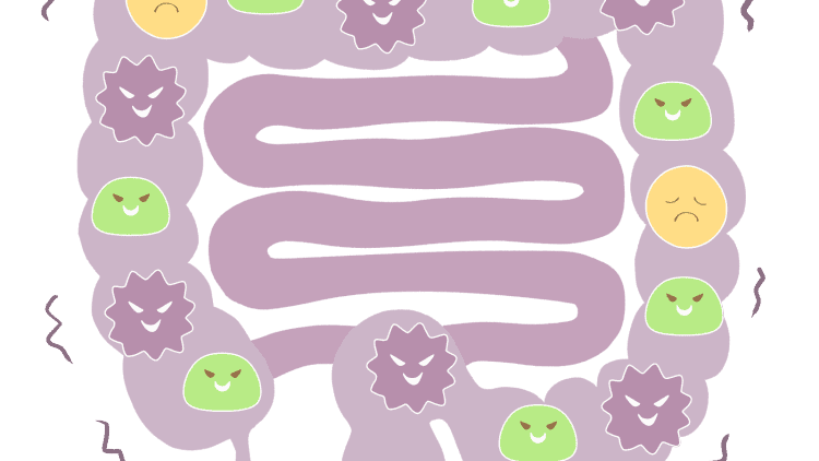 【更年期の腸内環境が乱れる原因】悪玉菌がどんどん増えてしまうNG食材5選|管理栄養士が解説