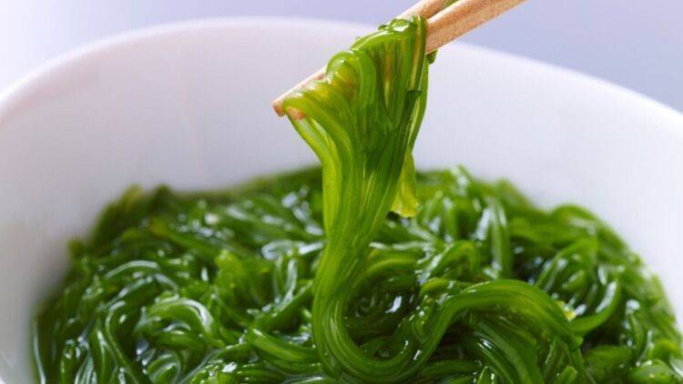 からだ想いの“ちょい足し習慣”に、めかぶという選択。 腸活イベント体験で「海藻のチカラ」を再発見