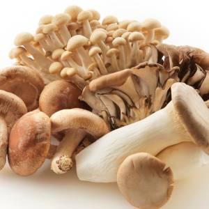 「同じきのこばかり食べていたわ…」管理栄養士が解説！きのこの腸を汚すNGな食べ方とは？