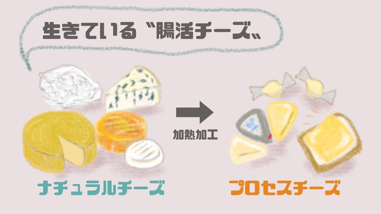ナチュラルチーズとプロセスチーズの違い