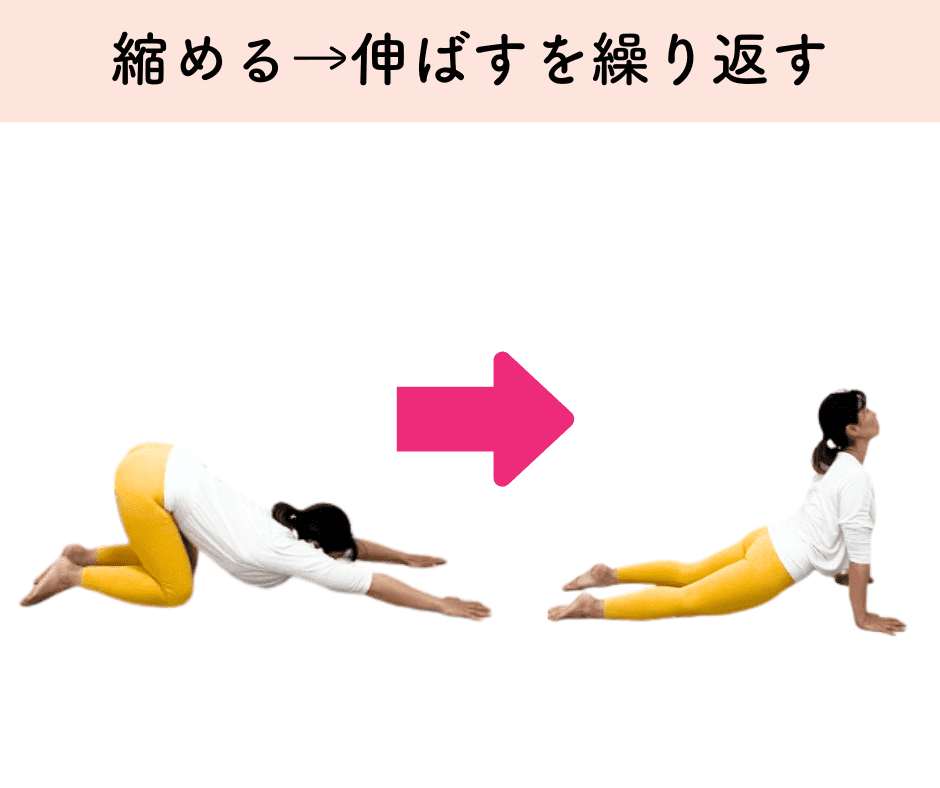 股関節の血流アップストレッチ