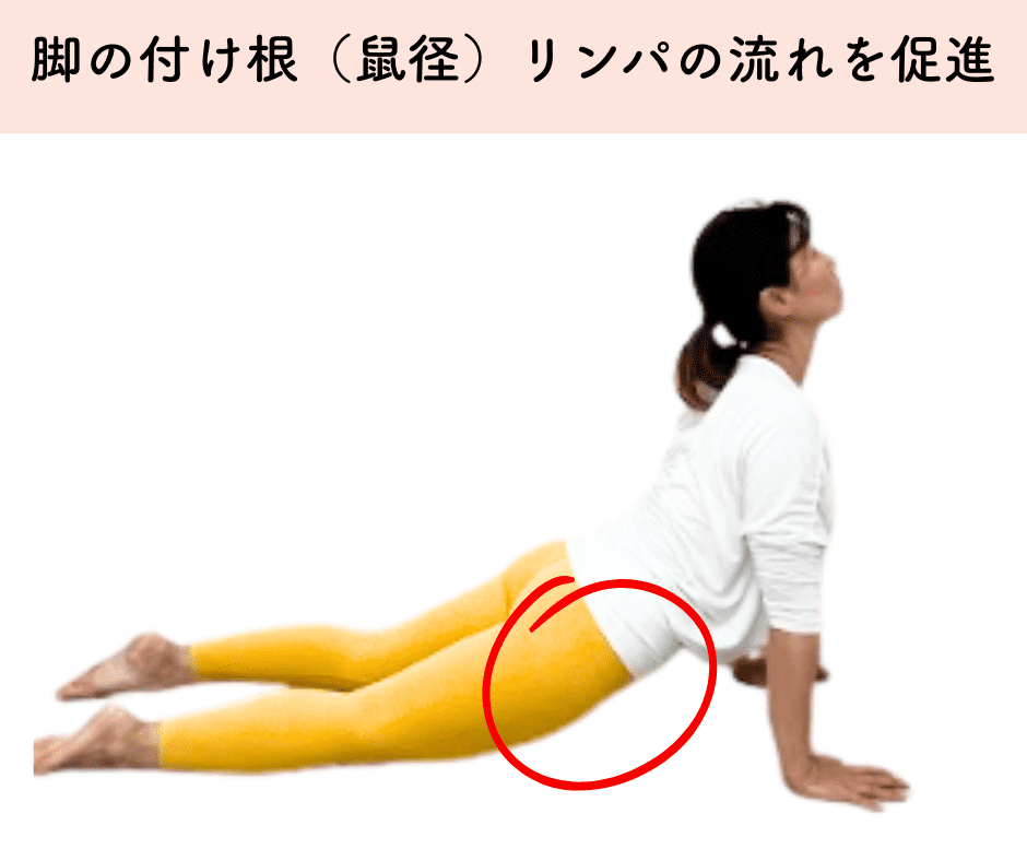 鼠径リンパストレッチ
