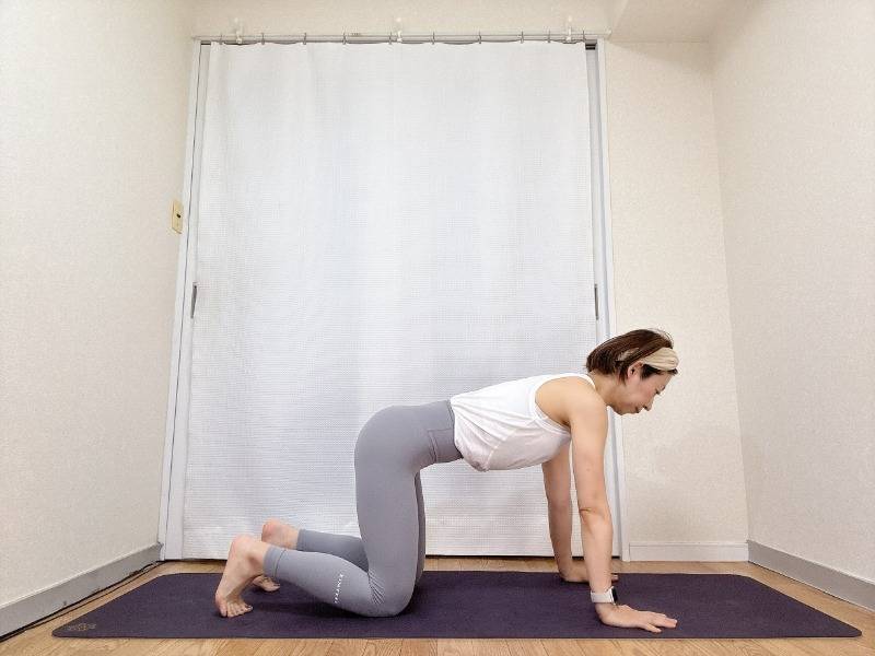 四つ這いの体勢