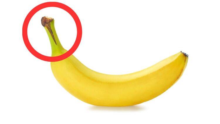 バナナは端が青いのが◎腸も血糖も整える「レジスタントスターチ」が多い青いバナナの3つの効果とは?