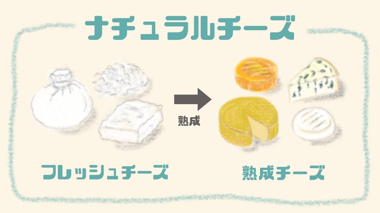 フレッシュチーズ