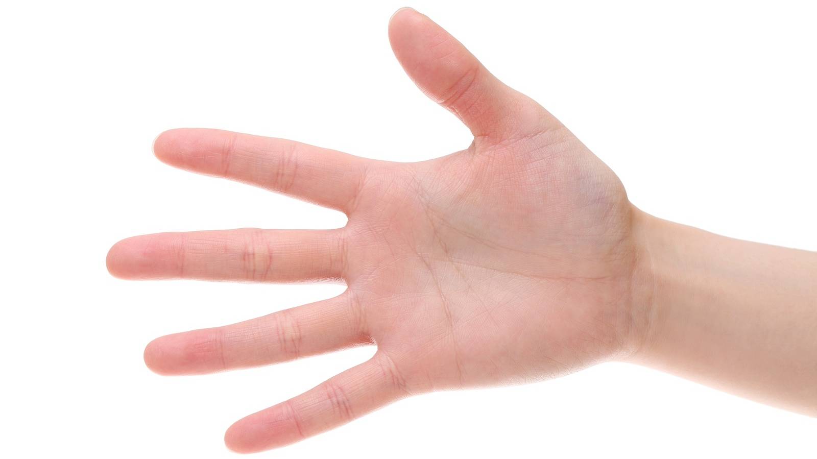 手をパーに開きにくい人注目！ PC・スマホ作業でだるくなった「前腕」をフワッと軽くするストレッチ