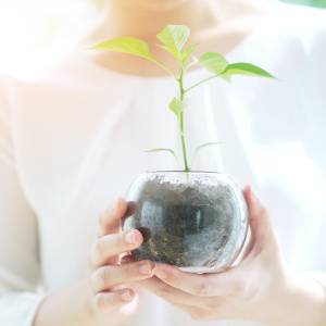 「嫌われることが怖い」他者軸で生きていませんか？心理師が教える、自分を育てるための5つのステップ