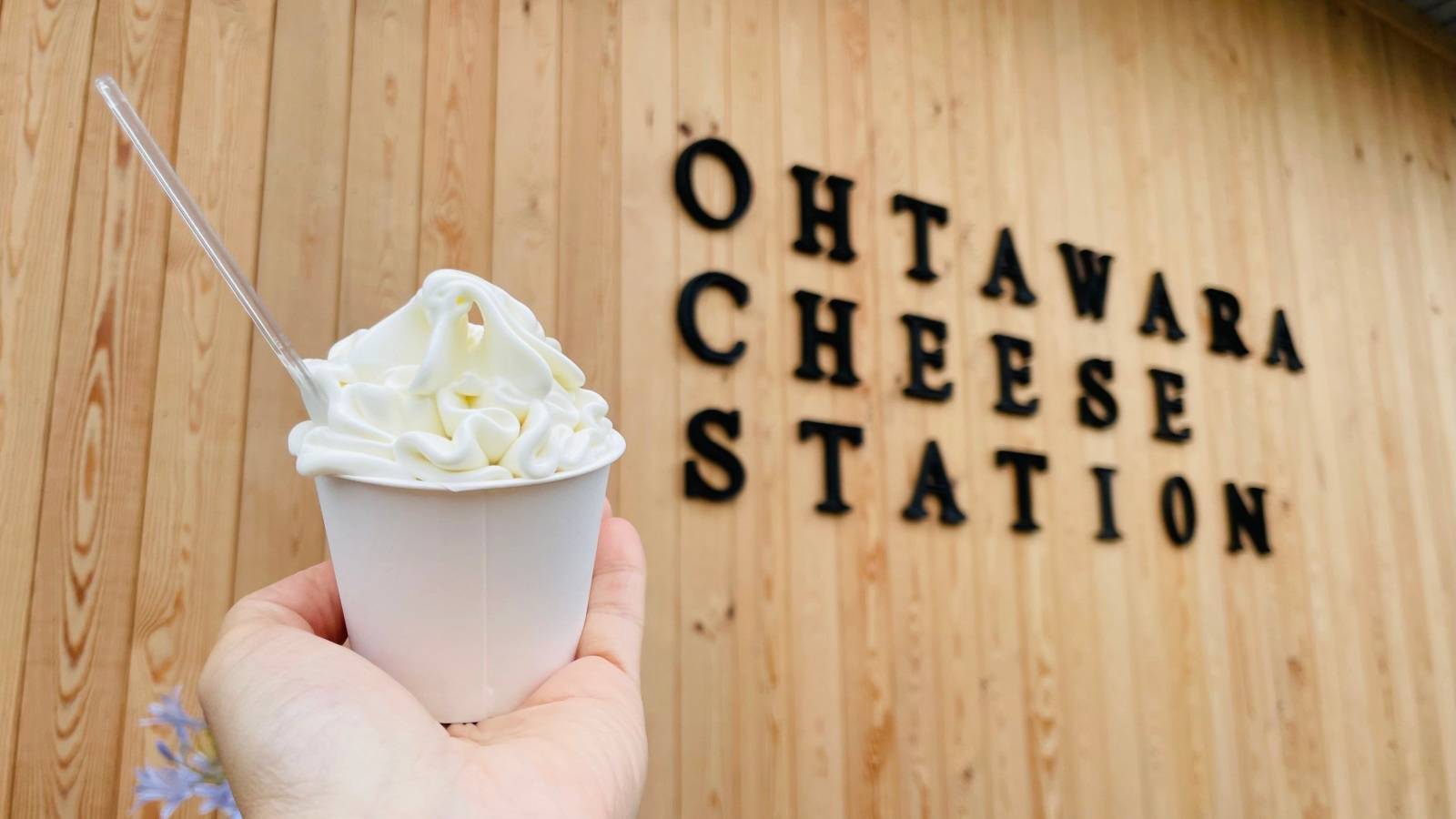 ソフトクリーム