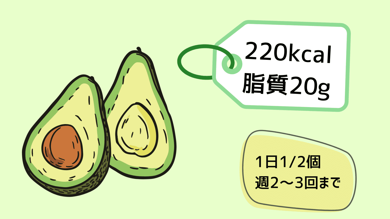 アボカドイラスト