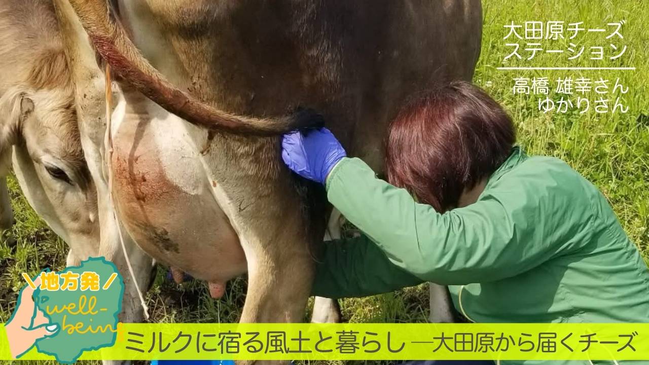 整うチーズは、“整ったミルク”から。 チーズ職人・高橋さんが語る、ミルクの本質