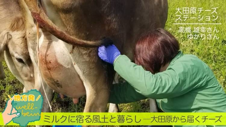 整うチーズは、“整ったミルク”から。 チーズ職人・高橋さんが語る、ミルクの本質