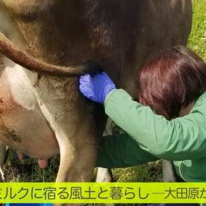 整うチーズは、“整ったミルク”から。 チーズ職人・高橋さんが語る、ミルクの本質