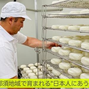 菌が生きる、菌が残す。腸に届くチーズとは？管理栄養士が栃木県大田原市で実感したこと