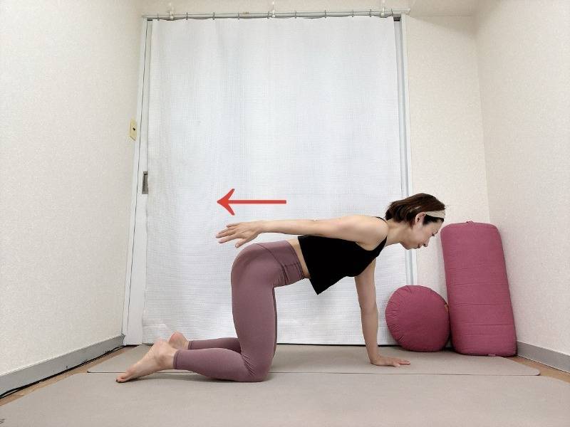 四つ這いから脇を締め、左腕を後ろに伸ばした体勢