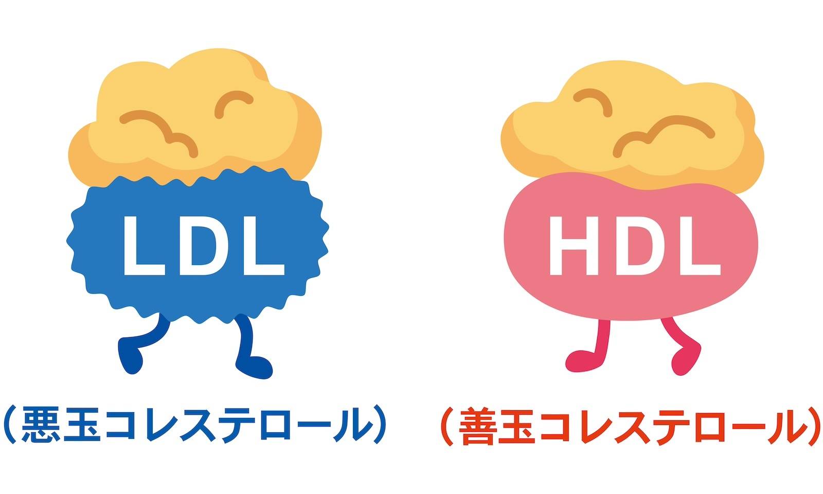 コレステロール