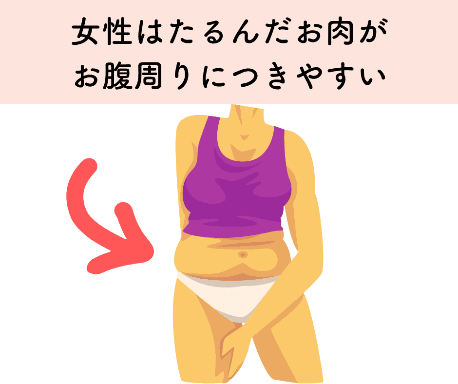 お腹周りに皮下脂肪