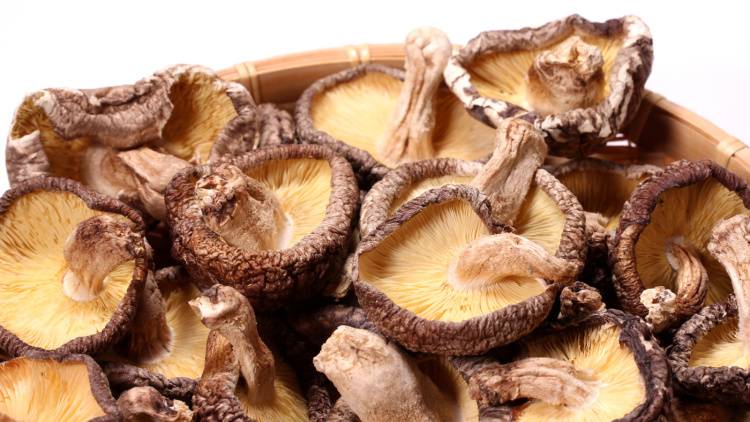 【干ししいたけ】がすごい。ちょい足しするだけで“腸と骨”の最強サポーターに！管理栄養士が推奨