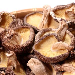 【干ししいたけ】がすごい。ちょい足しするだけで“腸と骨”の最強サポーターに！管理栄養士が推奨