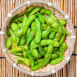 【枝豆】夏においしくタンパク質補給！食べ合わせで効果倍増「疲労回復」に役立つ食べ方ガイド