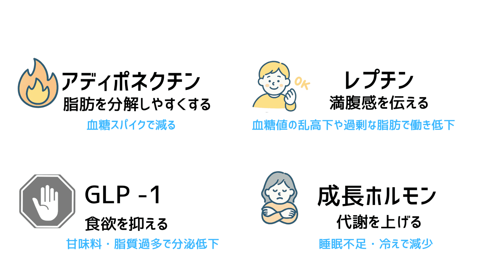 瘦せホルモンのイラスト