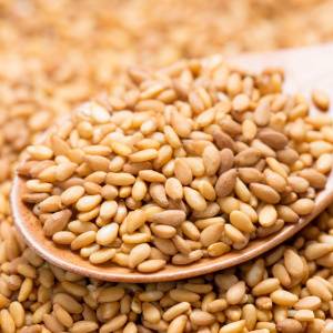 ごまの力がすごい。ちょい足しで“血糖・腸・女性ホルモン”に効く！ごまの「3つのすごいチカラ」