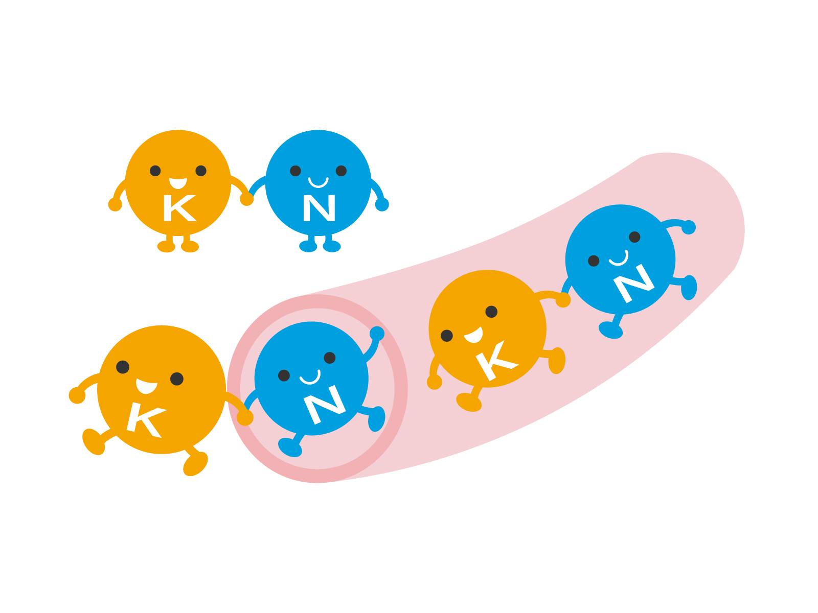 電解質のイラスト