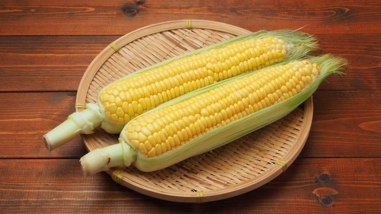 実は日焼け止め級？とうもろこしに隠された紫外線バリア成分の驚きの働き｜管理栄養士が解説
