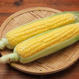 実は日焼け止め級？とうもろこしに隠された紫外線バリア成分の驚きの働き｜管理栄養士が解説