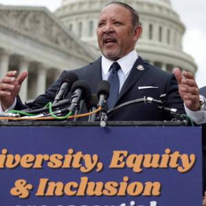 アメリカのダイバーシティとDEI:アメリカの“多様性”の現在地