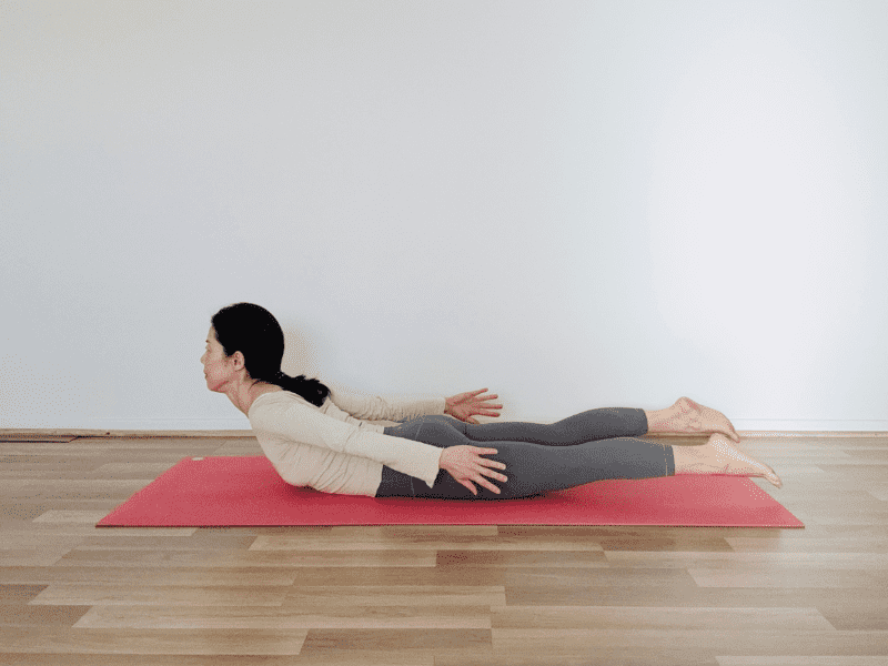 バッタのポーズ