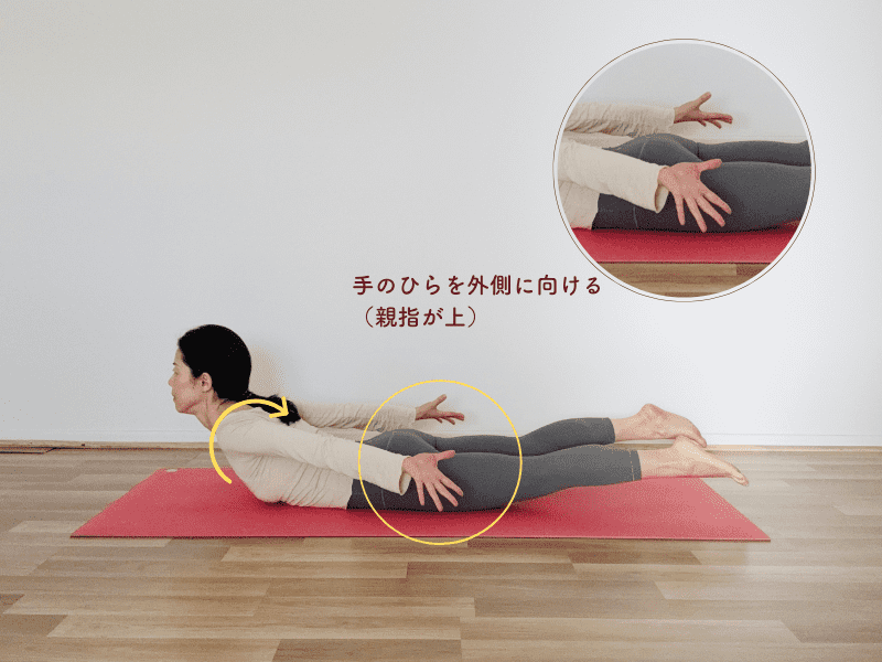 バッタのポーズ