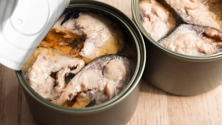 〈サバ缶〉毎日食べても大丈夫？サバ缶のメリットとデメリット｜管理栄養士が解説
