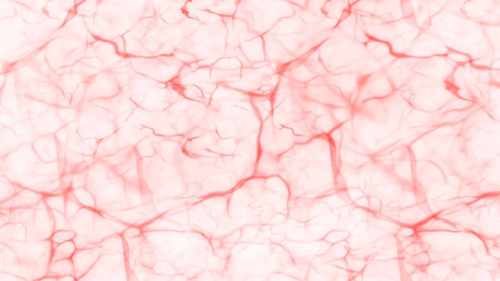  毛細血管の劣化が脳の老化を加速？認知症リスクを下げるための「食と生活習慣」の整え方｜医師が解説 