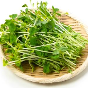 豆苗がすごい！“再生野菜”なのに栄養はほうれん草級？！管理栄養士がおすすめする理由