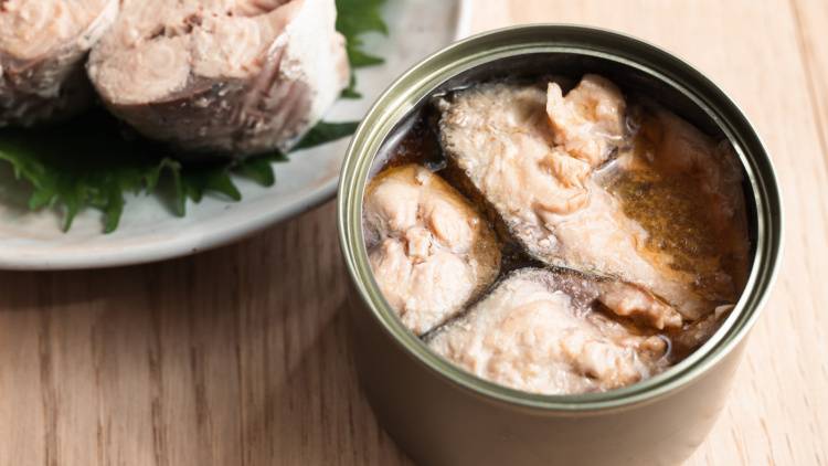 最強ストック【サバ缶】がすごい！1缶で“骨・脳・血管”を丸ごとサポート｜管理栄養士が推奨する理由