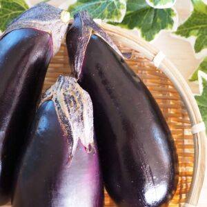 痩せたい40代・50代におすすめ！痩せる「なす」の食べ方｜管理栄養士が解説