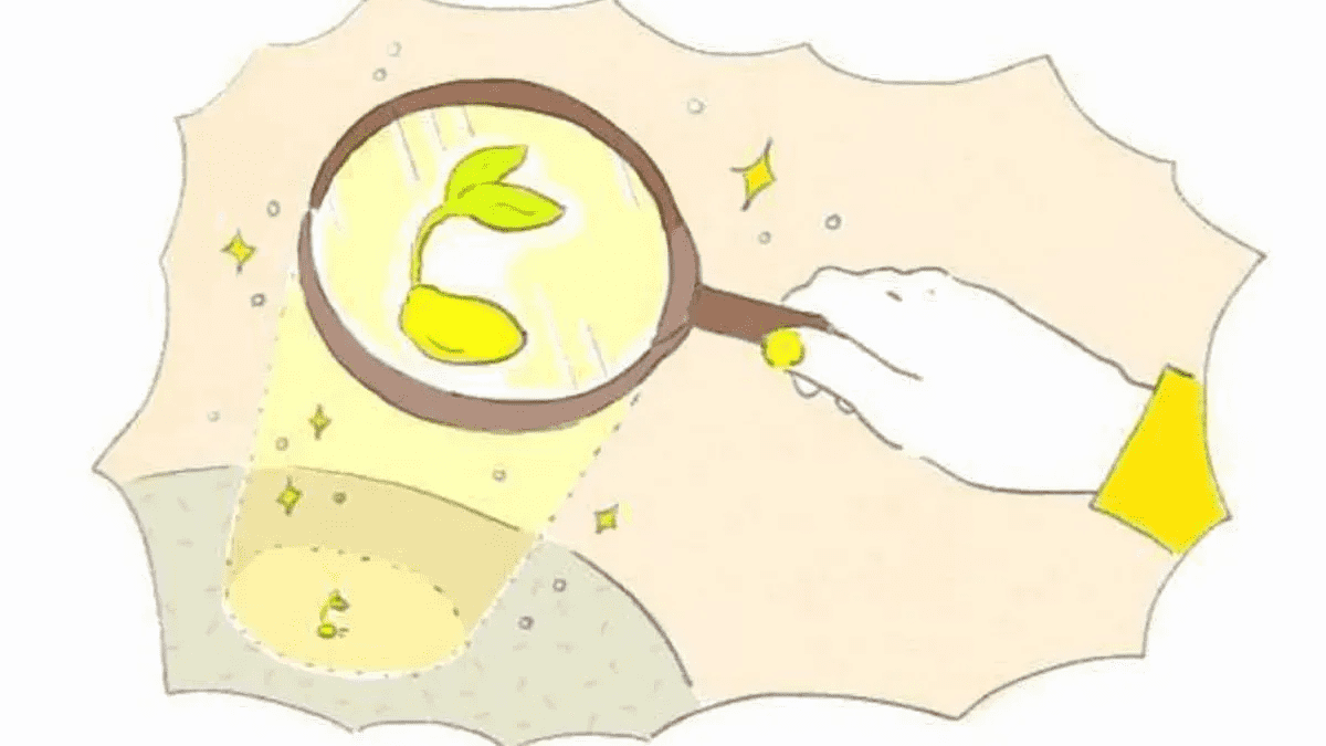 8月15日から8月27日までは｢黄色い種の13日間」心と人生を整えるヒントは？