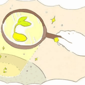 8月15日から8月27日までは｢黄色い種の13日間」心と人生を整えるヒントは？