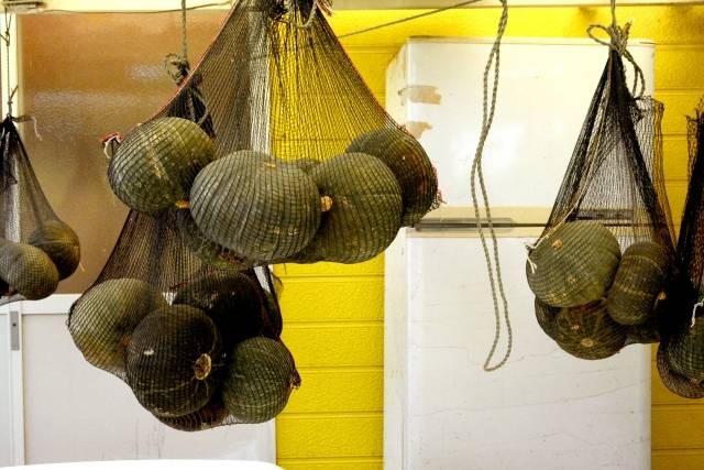 かぼちゃ　吊るし