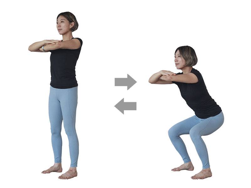 レギュラースクワット