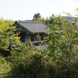 週の半分東京 / 勝浦。二拠点生活で実現する「小さく生きる」とは？ #暮らしの選択肢