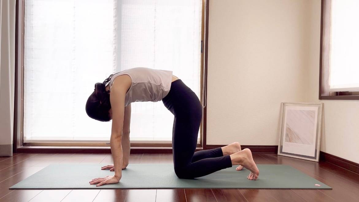 キャット＆カウ