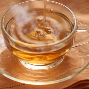 疲れやすい体にさよなら！夏バテ防止に効く「温かい飲み物」を管理栄養士が解説