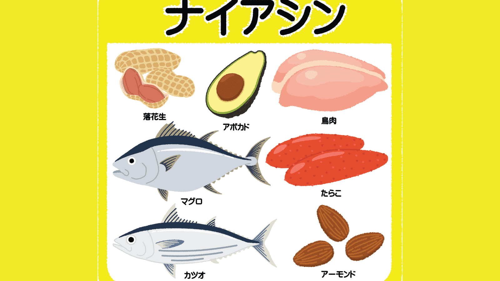 ナイアシンって何？体内で様々な栄養素の代謝を支えているナイアシンの働きとは｜管理栄養士が解説