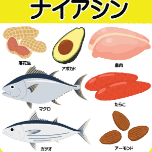 ナイアシンって何？体内で様々な栄養素の代謝を支えているナイアシンの働きとは｜管理栄養士が解説