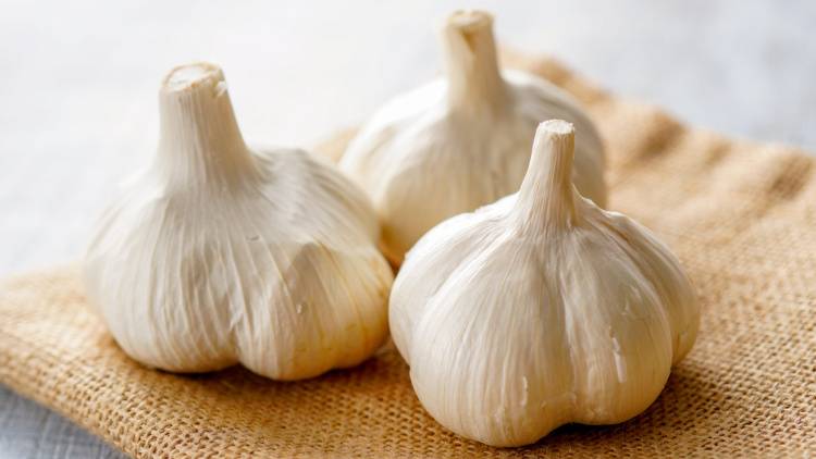 にんにく1片の驚きパワー。血管・免疫・疲労回復に役立つ理由｜管理栄養士が解説