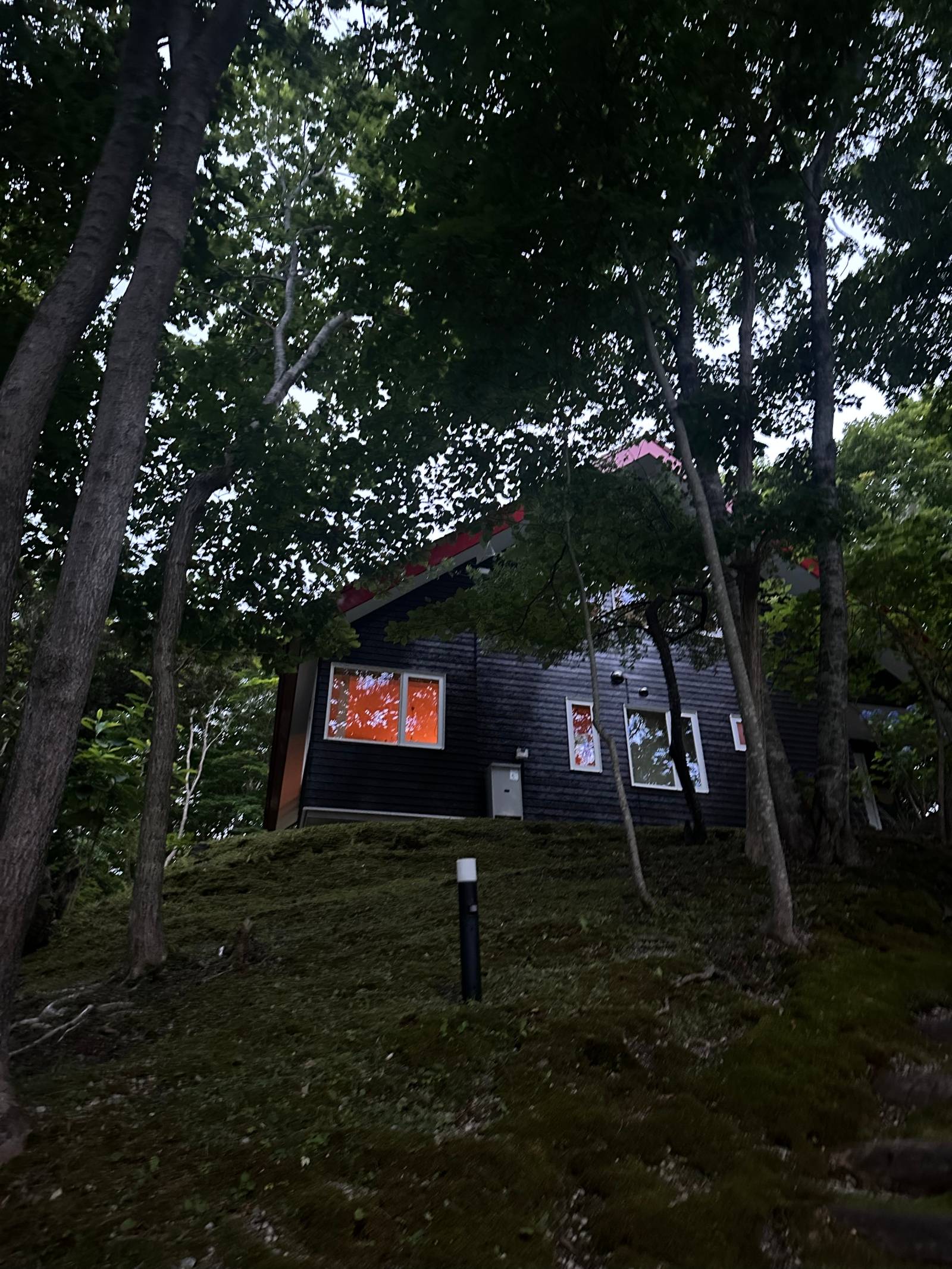 写真提供: 山内 洋子