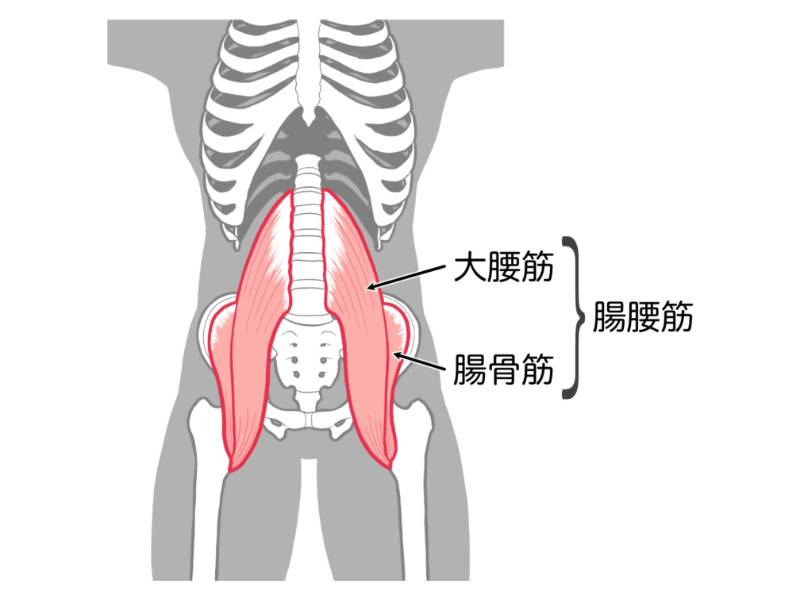 腸腰筋